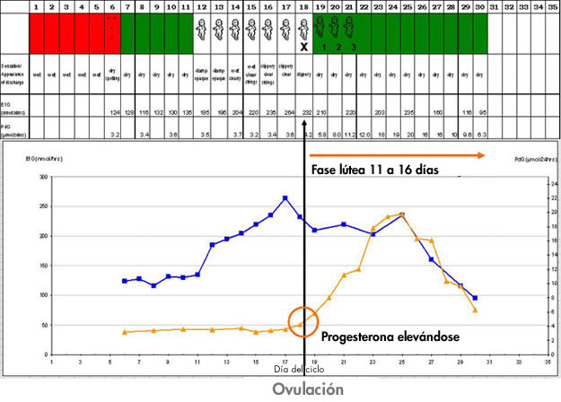 lutealphase 625 es