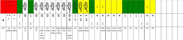 typicalchart